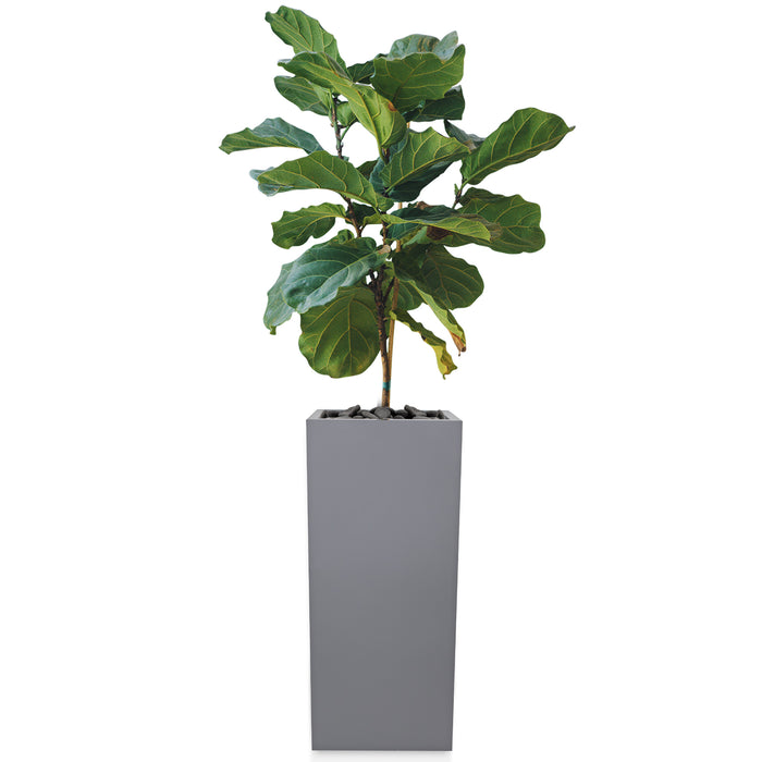 Modern Galvanized Metallic Planter