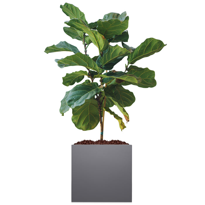 Modern Galvanized Metallic Planter
