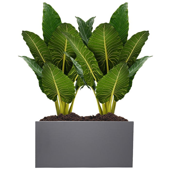 Modern Galvanized Metallic Planter