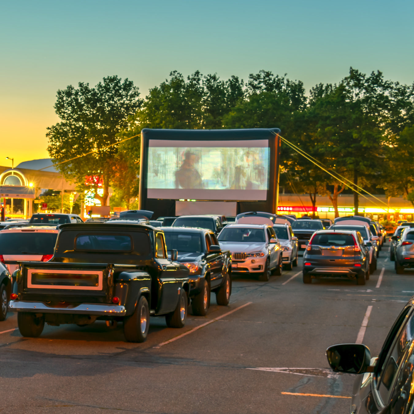 Projector Screens
