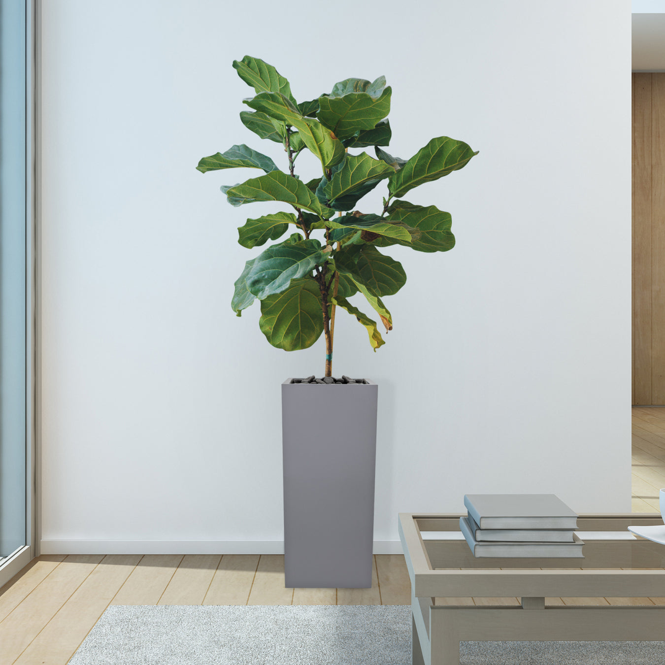Planters